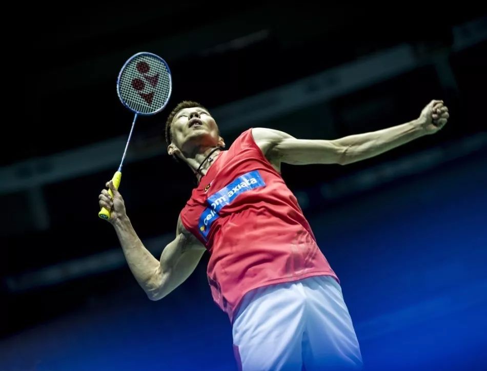 会费纪录 会费纪录