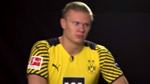 后腰覆盖半 后腰覆盖半